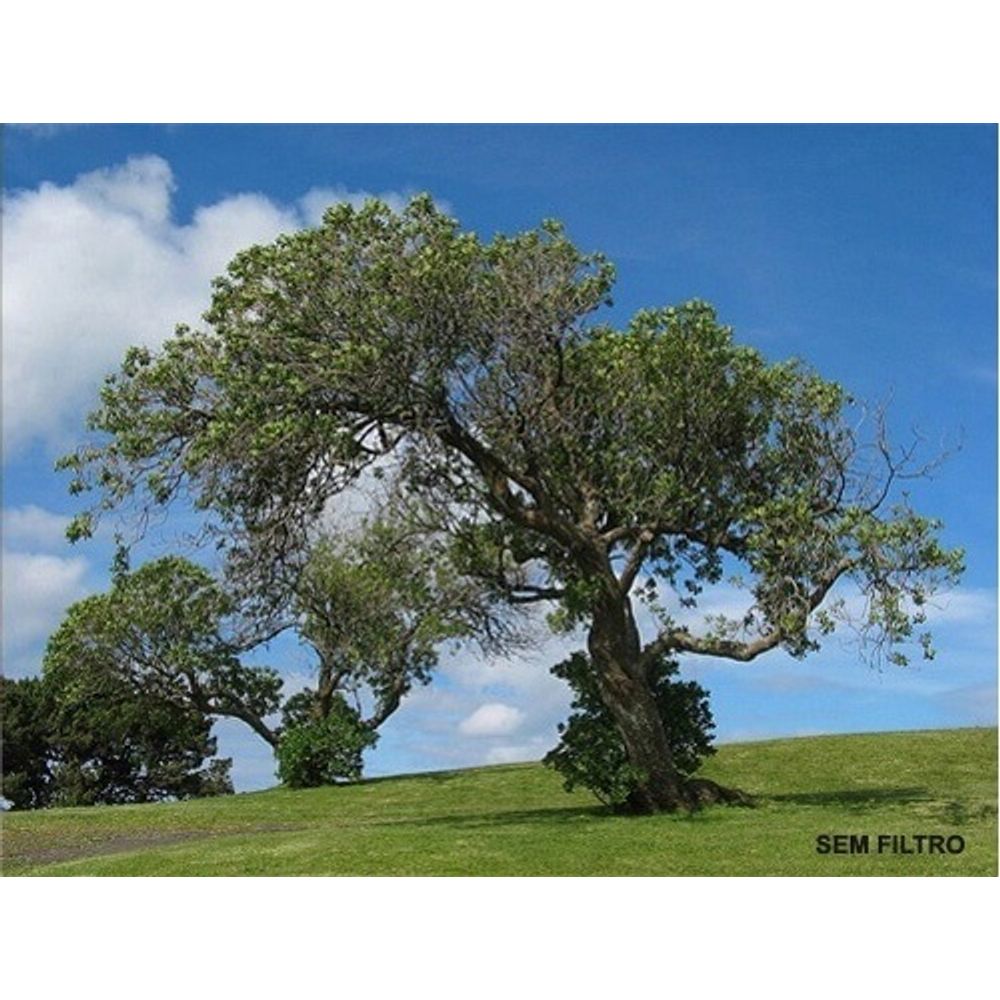 Filtro IR 760nm 72mm Per Fotografia Infrarossi | Vetro Ottico Per Effetti Creative E Scientifici - Foto 8