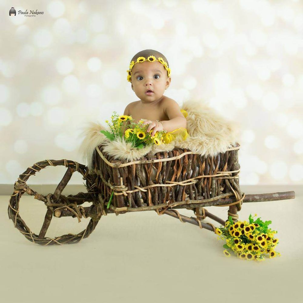 Carrinho-de-Cipo-para-Cenario-Fotografico-Newborn Carrinho-de-Cipo-para-Cenario-Fotografico-Newborn