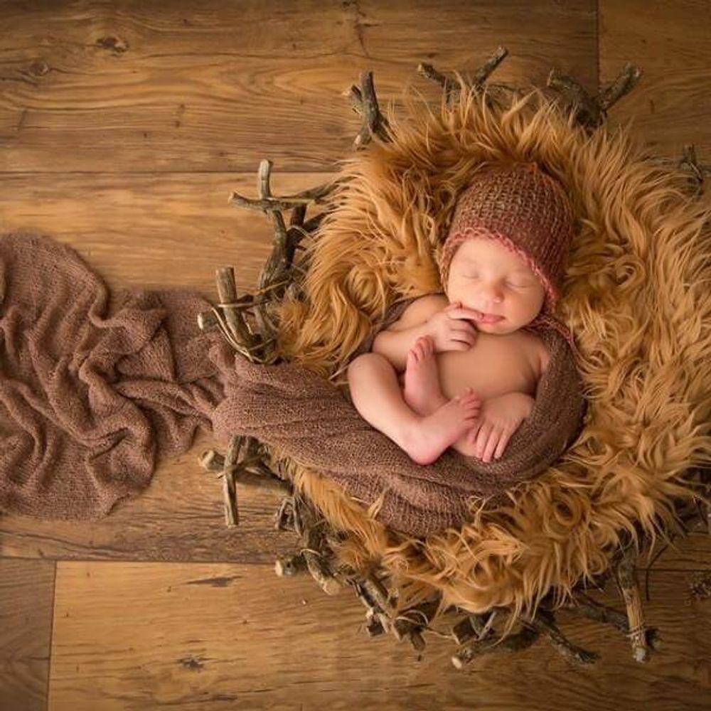 Ninho-de-Passaro---Cenario-para-Fotografia-Newborn Ninho-de-Passaro---Cenario-para-Fotografia-Newborn