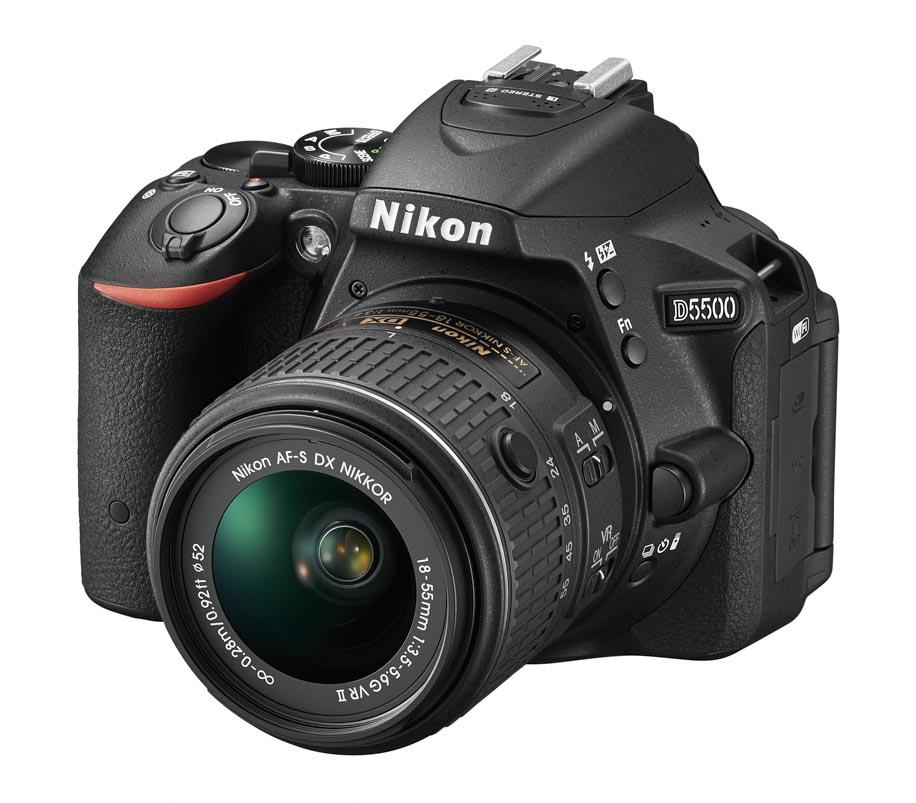 ニコン　Nikon D5500 172275