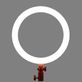 Iluminador-Circular-LED-Godox-LR120-12----30cm-Ring-Light-10W-Bi-Color--Rosa- Iluminador-Circular-LED-Godox-LR120-12----30cm-Ring-Light-10W-Bi-Color--Rosa-