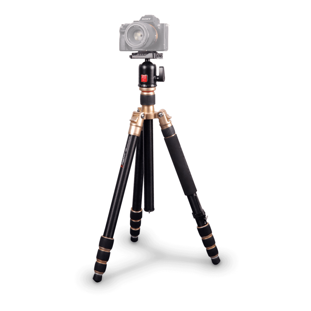 Tripe---Monope-com-Cabeca-Ball-Head-KingJoy-AC-228-QB-1-Dourado-Aluminio-para-ate-10kg Tripe---Monope-com-Cabeca-Ball-Head-KingJoy-AC-228-QB-1-Dourado-Aluminio-para-ate-10kg