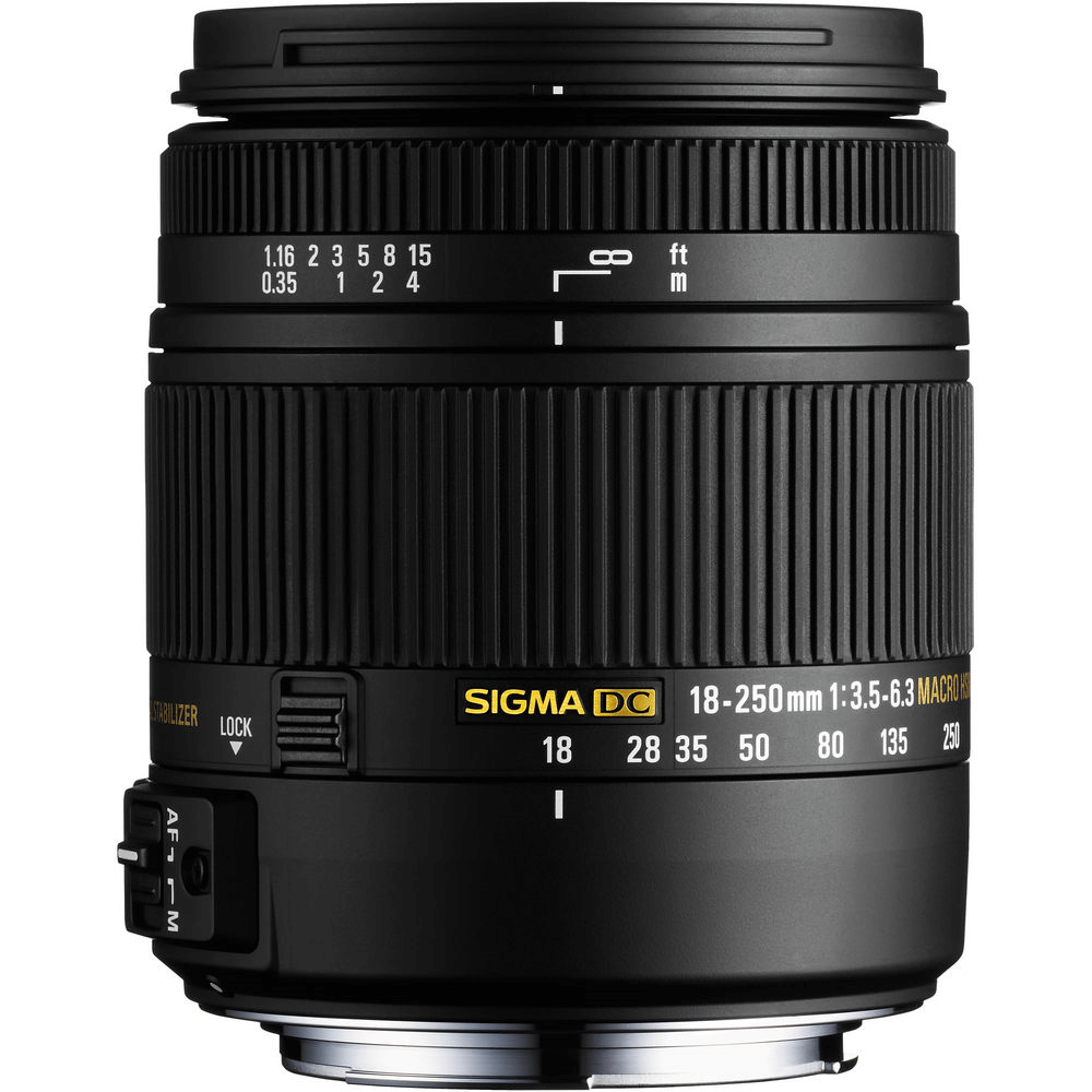 カメラSIGMA 18-200mm F3.5-6.3 DC Fマウント