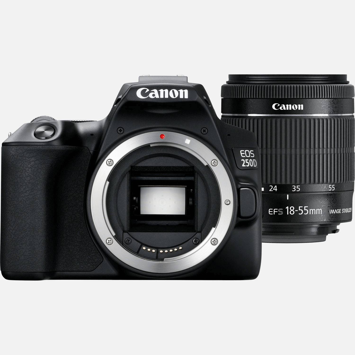 Canon Rebel EOS 250D Lente 18-55mm STM - eMania Foto e Video