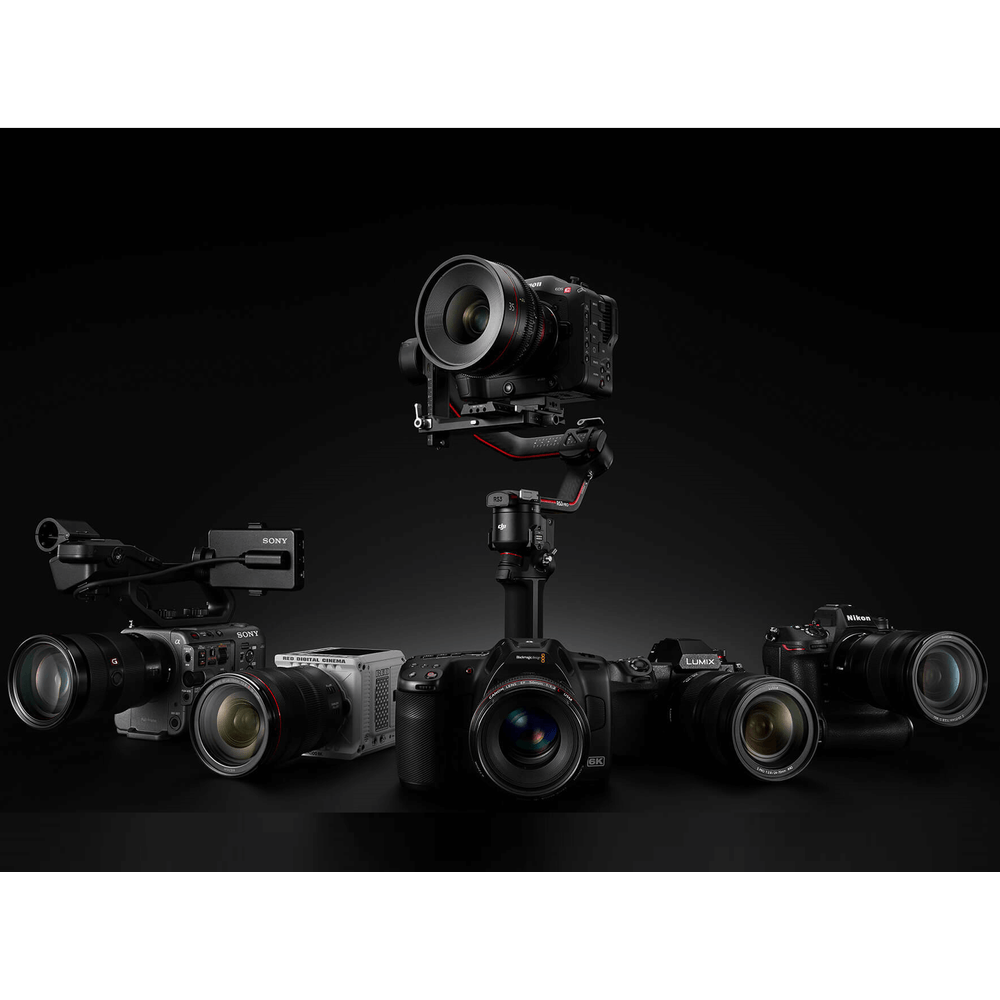 Dji hotsell ronin gimbal