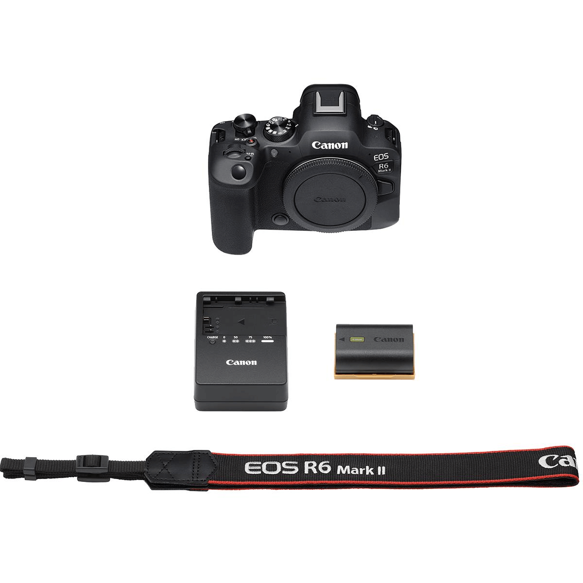 Canon EOS R6 MII Mirrorless 4K (Corpo) - eMania Foto e Video Canon EOS R6 MII Mirrorless 4K (Corpo) - eMania Foto e Video