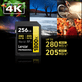 Cartao-SDXC-256Gb-Lexar-Gold-4K-1800x-280Mb-s-UHS-II---V60---U3---Classe-10 Cartao-SDXC-256Gb-Lexar-Gold-4K-1800x-280Mb-s-UHS-II---V60---U3---Classe-10