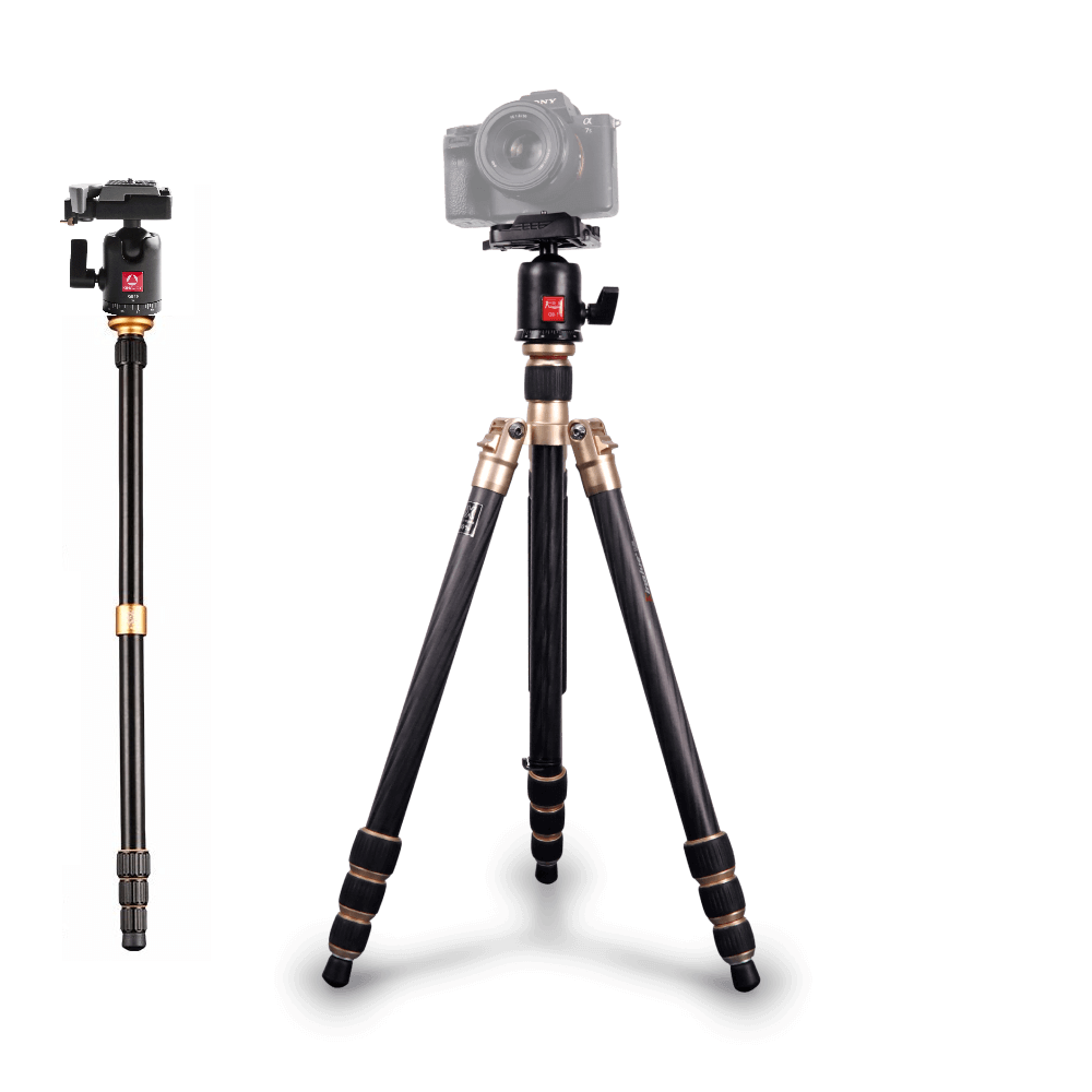 Tripe-Monope-Kingjoy-AC-258-Aluminio-com-Cabeca-Ball-Head-Aluminio-para-ate-10kg--Dourado- Tripe-Monope-Kingjoy-AC-258-Aluminio-com-Cabeca-Ball-Head-Aluminio-para-ate-10kg--Dourado-