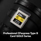 Cartao-Memoria-Lexar-256GB-CFexpress-Type-B-Gold-1750MB-s-PCIe-3.0-Profissional