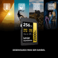 Cartao-SDXC-256Gb-Lexar-Gold-2000x-8K-300Mb-s-UHS-II-V90-U3-Classe-10