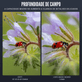 Lente-Smartphone-Neewer-LS-26-Pro-105mm-Macro-HD-com-Clipe-17mm--5-